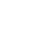 Chixee